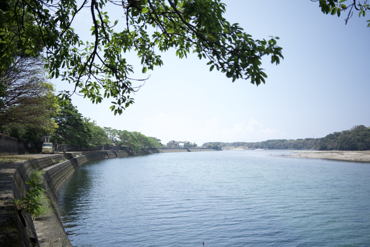 栗生海河堤旁的河面與樹蔭